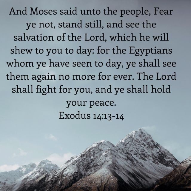 And Moses said unto the people, Fear ye not, stand still, and see the ...