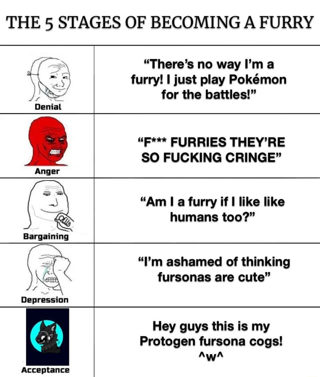 The 5 Stages Of Becoming A Furry Denial Acceptance Theres No Way Im A Furry I Just Play