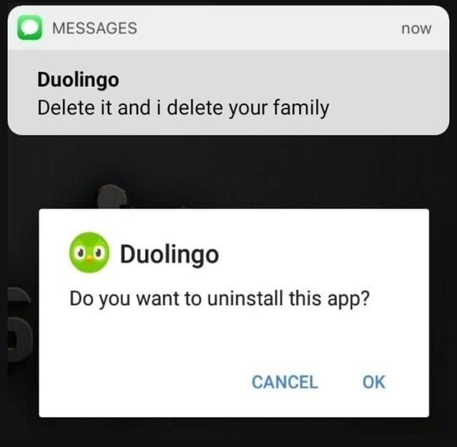 MESSAGES Duolingo Delete It And I Delete Your Family Duolingo Do You ...