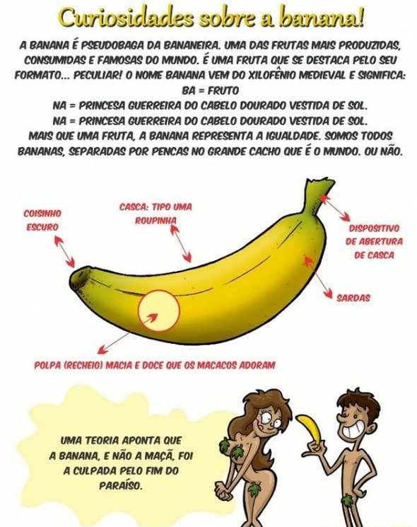 Curiosidades sobre bananal A BANANA É PSEUDOBAGA DA BANANEIRA. UMA DAS
