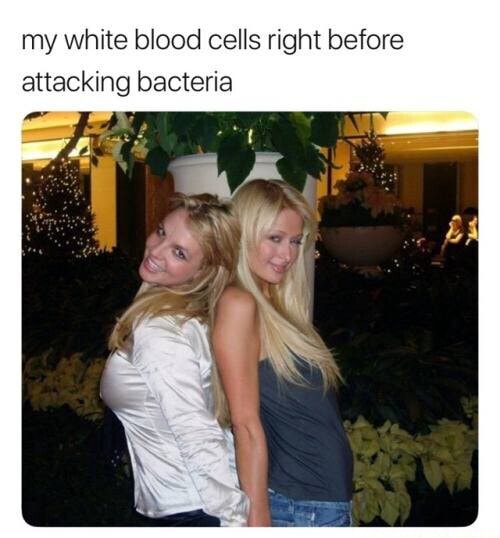 my-white-blood-cells-right-before-attacking-bacteria-ifunny