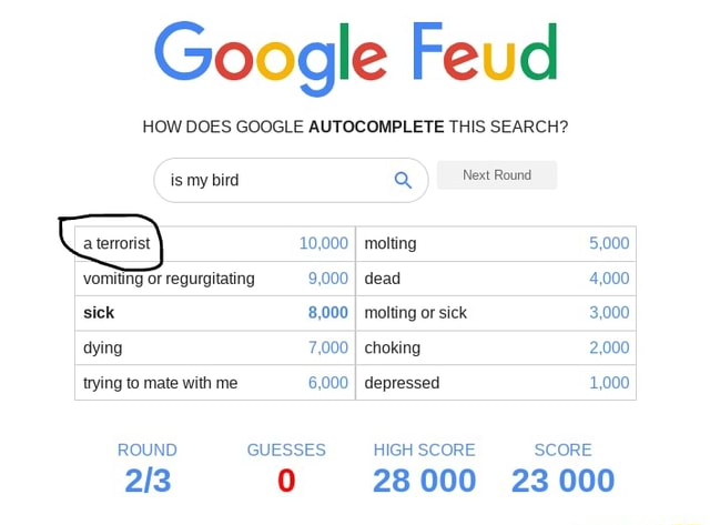 Google Feud Browser Game: Autocomplete Says