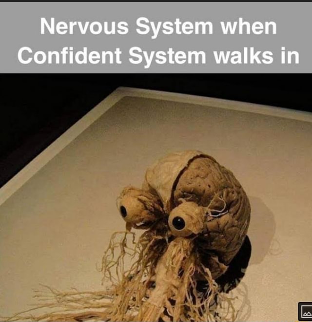 Nervous System When Confident System Walks In Nervous System when Confident System walks in - iFunny