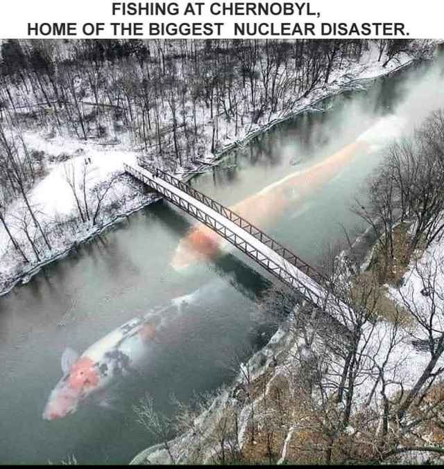 FISHING AT CHERNOBYL, HOME OF THE BIGGEST NUCLEAR DISASTER - America’s ...