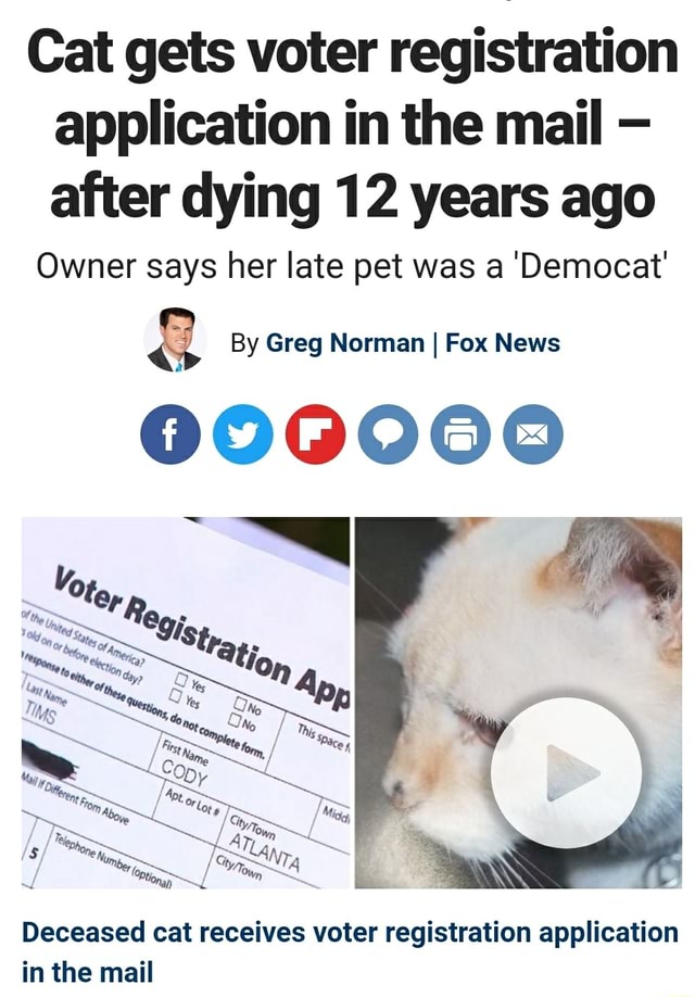Cat gets voter registration application in the mail after dying 12