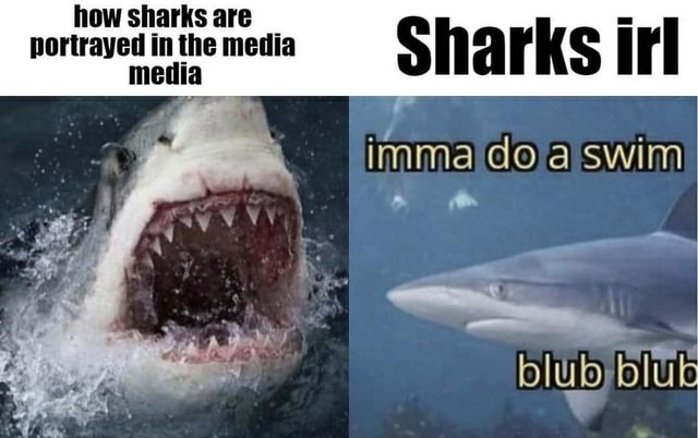 How sharks are il portrayod Sharks irl imma doa swim by blub - iFunny