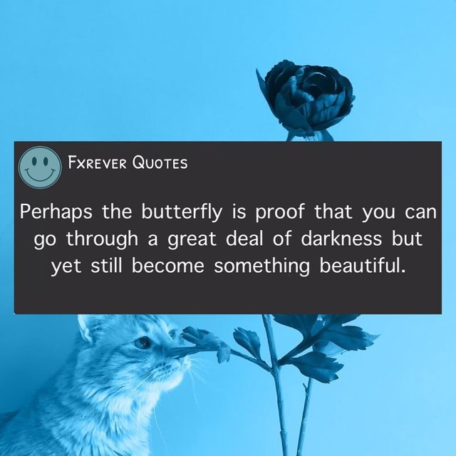 The butterfly starts out as a caterpillar and then goes through amazing