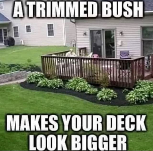 TRIMMED BUSH MAKES YOUR DECK LOOK BIGGER iFunny