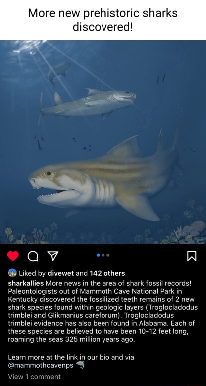 More New Prehistoric Sharks Discovered! @ Liked By Divewet And 142 