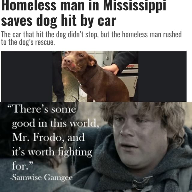 Homeless Man In Mississippi Saves Deg Hit By Ear The Car That Hit The Dog Didn T Stop But The Homeless Man Rushed To The Dog S Rescue