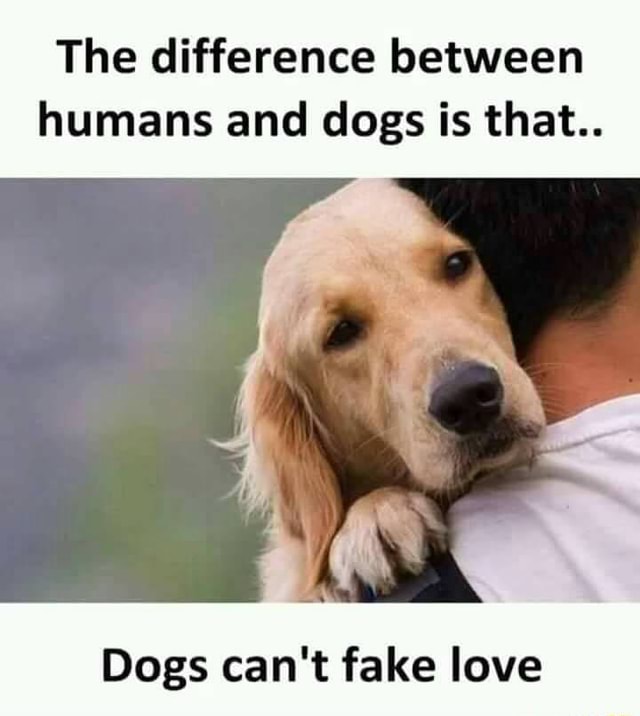 The Difference between humans and dogs is that... Dogs can't fake love