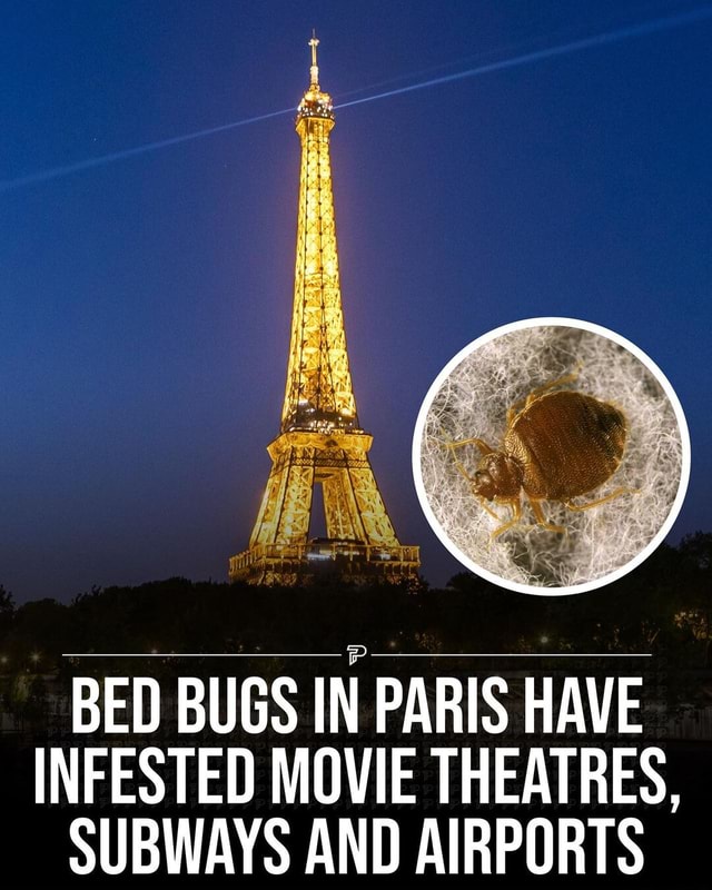 Paris Is In A Battle Against Bed Bugs Officials Are Working To Tamp Down The Problem Following