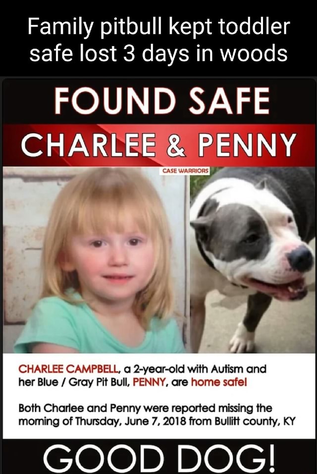 Family pitbull kept toddler safe lost 3 days in woods FOUND SAFE