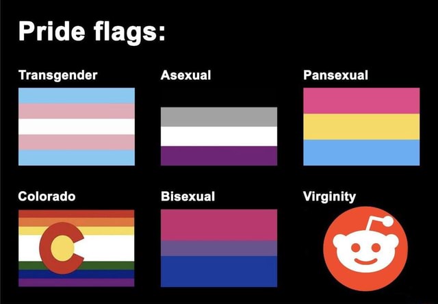 Pride flags: Transgender Asexual Pansexual Colorado Bisexual Virginity ...