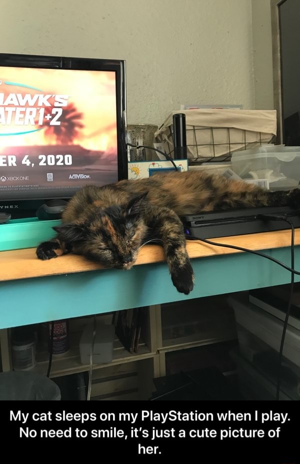 My cat sleeps on my PlayStation when I play. No need to smile, it's