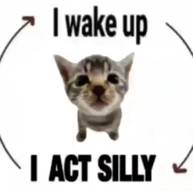 Wake Up Act Silly Cat | Sticker