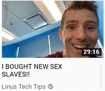 I BOUGHT NEW SEX SLAVES Linus Tech Tips iFunny