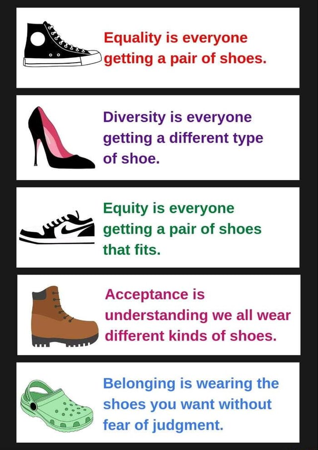 Equality is everyone getting a pair of shoes. Diversity is everyone