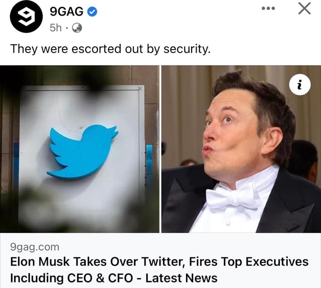 They were escorted out by security. Elon Musk Takes Over Twitter, Fires ...