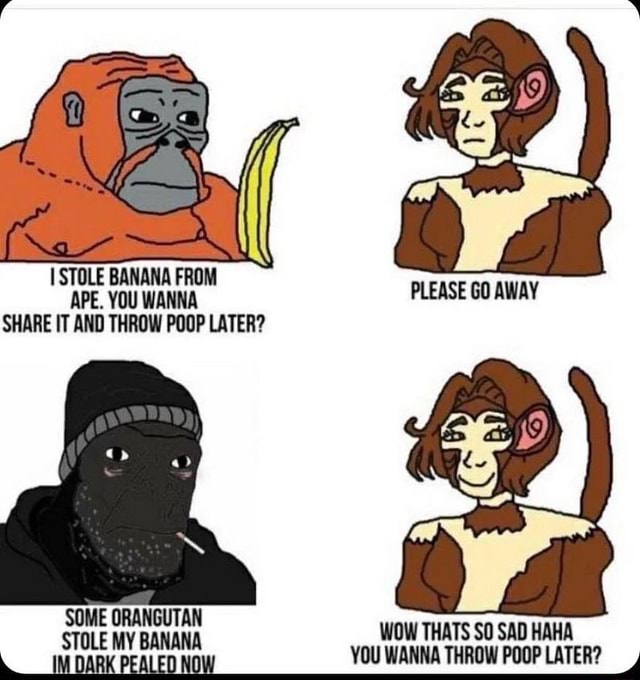 STOLE BANANA FROM APE. YOU WANNA SHARE IT AND THROW POOP LATER? PLEASE GO AWAY SOME ORANGUTAN