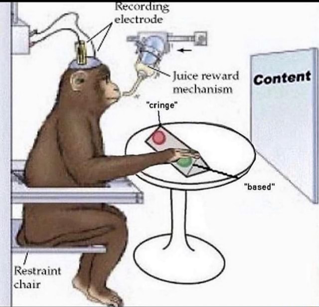 Ecording electrode Juice reward mechanism "cringe" Restraint chair iFunny
