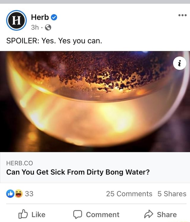 (Hi) Herb eee SPOILER Yes. Yes you can. HERB.CO Can You Get Sick