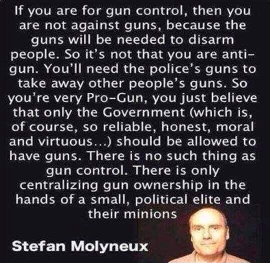 if-you-are-for-gun-control-then-you-are-not-against-guns-because-the