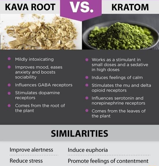 KAVA ROOT Mildly intoxicating Works as a stimulant in small doses and a