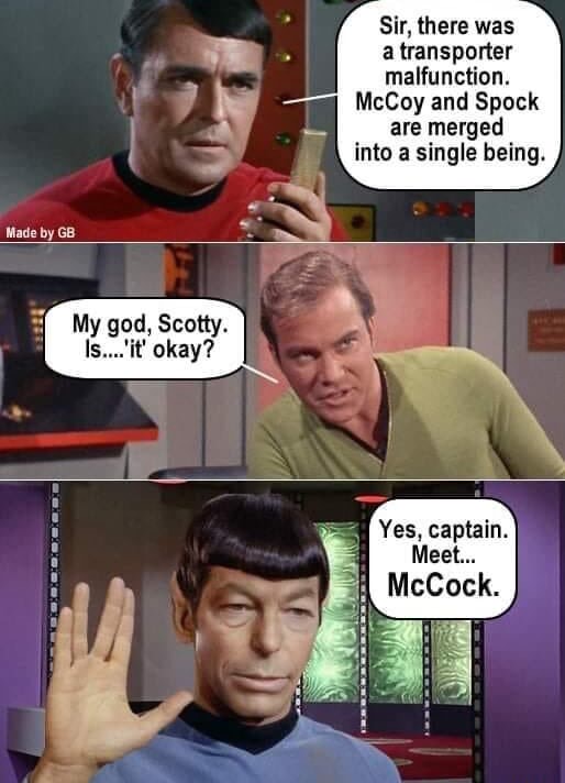 Sir, There Was A Transporter Malfunction. Mccoy And Spock Are Merged 