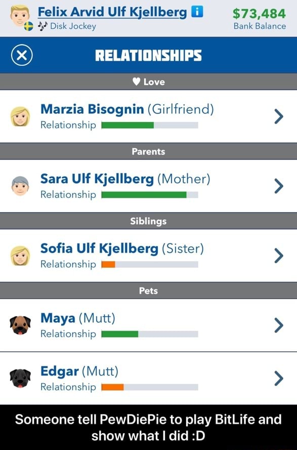 Someone Tell Pewdiepie To Play Bitlife And Show What I Did D Ifunny 8688