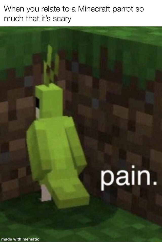 When You Relate To A Minecraft Parrot So Much That It S Scary Pain