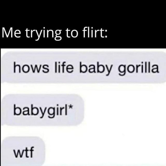 How life перевод. How Life going Baby Gorilla.