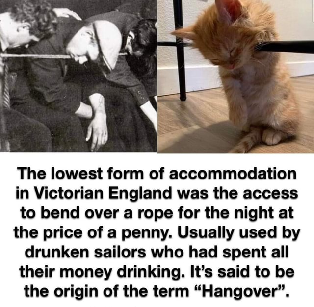 The Lowest Form Of Accommodation In Victorian England Was The Access To ...