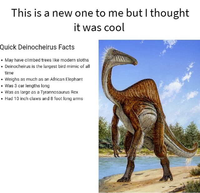 10 Facts About Deinocheirus