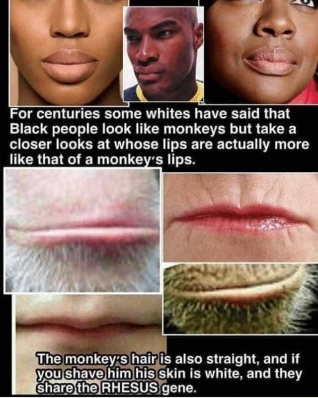 For centuries some whites have said that Black people look like monkeys but take a closer looks at whose lips are actually more ike that of a monkey's lips. hairjis also straight,