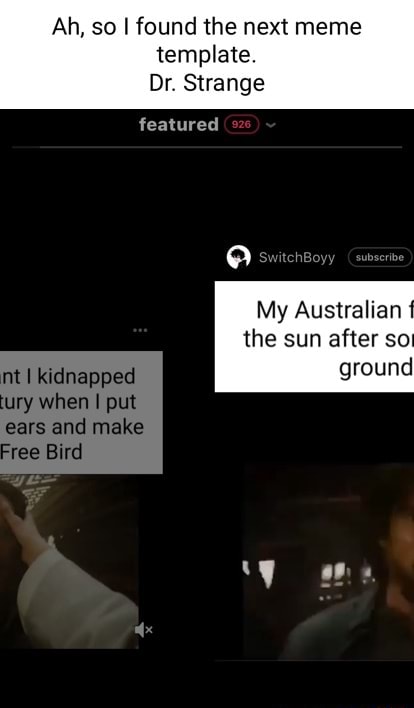 Ah So I Found The Next Meme Template Or Strange Featured My Australian The Sun After So Ground Kicinapped Put Ears And Male Free