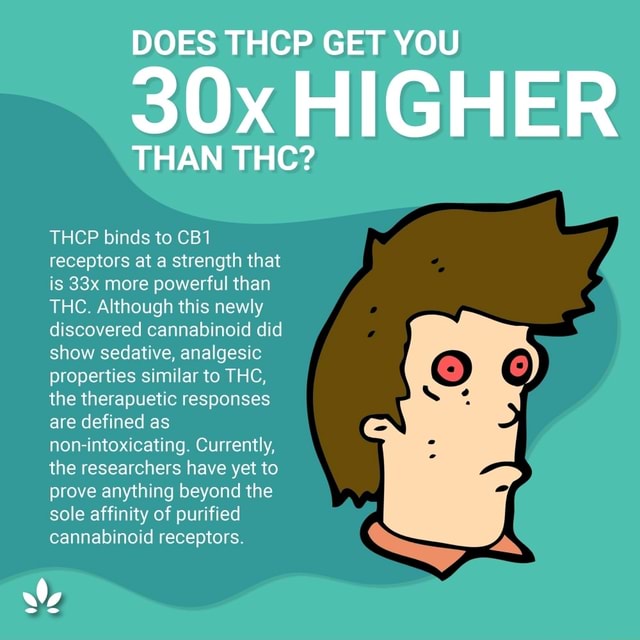 DOES THCP GET YOU Ox HIGHER THAN THC? THCP Binds To Receptors At A ...