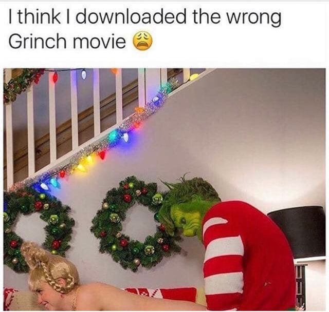 I Think I Downloaded The Wrong Movie I think I downloaded the wrong Grinch movie