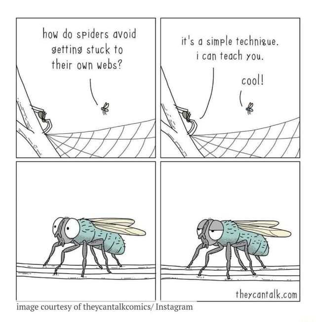 How do spiders avoid getting stuck to their own webs? it's a simple