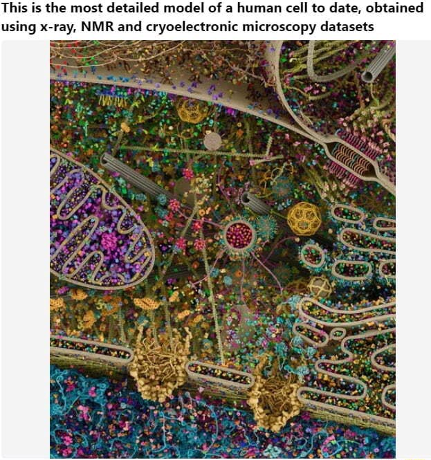 This Is The Most Detailed Model Of A Human Cell To Date Obtained Using 