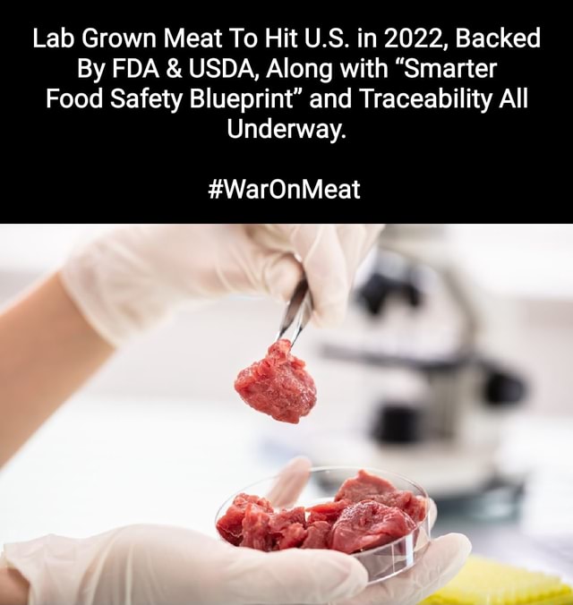 Lab Grown Meat To Hit U.S. in 2022, Backed By FDA & USDA, Along with