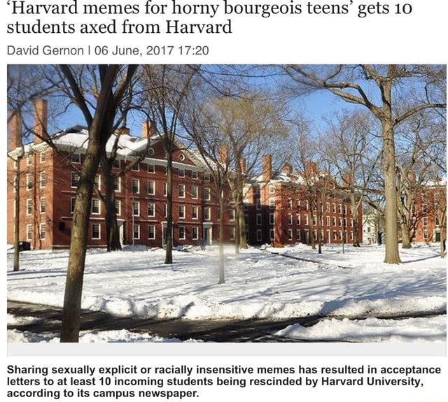 harvard-memes-for-horny-bourgeois-teens-gets-10-students-axed-from-harvard-david-gernon-i-os