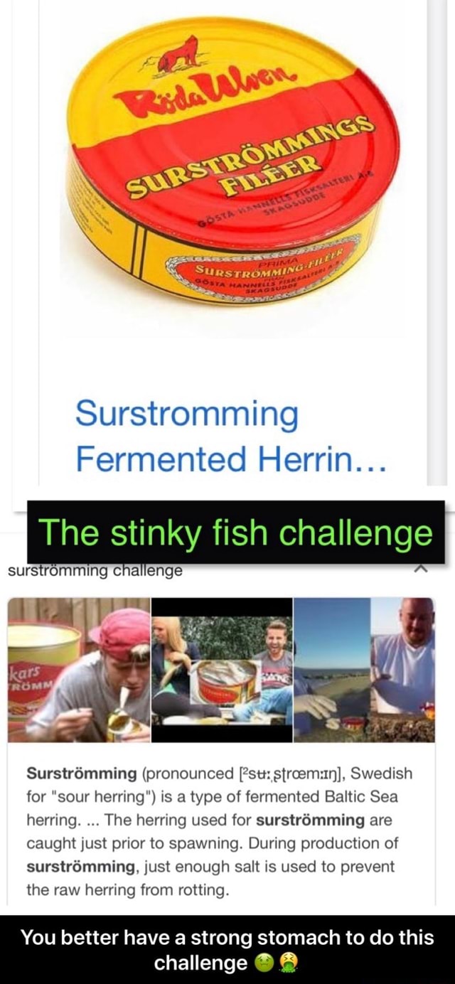 Surstromming Fermented Herrin The Stinky Fish Challenge Suts Rommlng C A Enge Surstromming Pronounced Âºsuzstroemzln Swedish For Sour Herring Is A Type Of Fermented Baltic Sea Herring The Herring Used For Surstromming