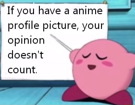 Why can't people have an opinion if they have an anime profile