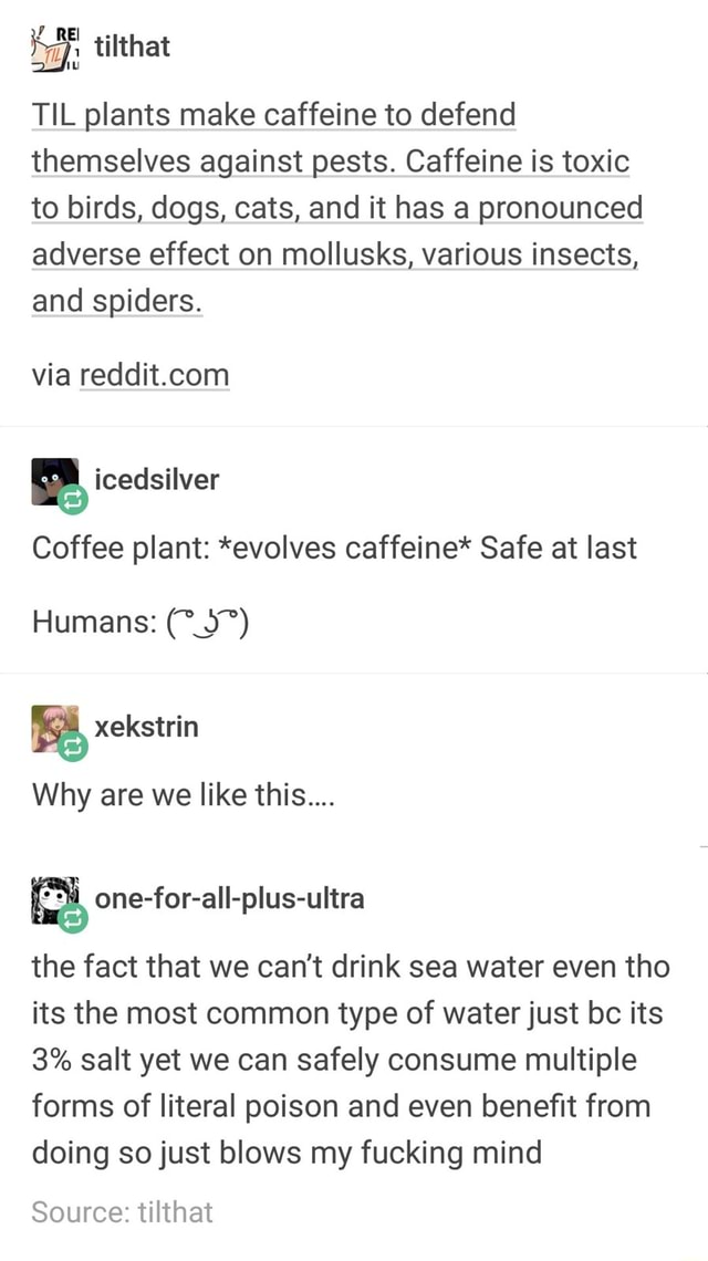 TIL plants make caffeine to defend themselves against pests. Caffeine