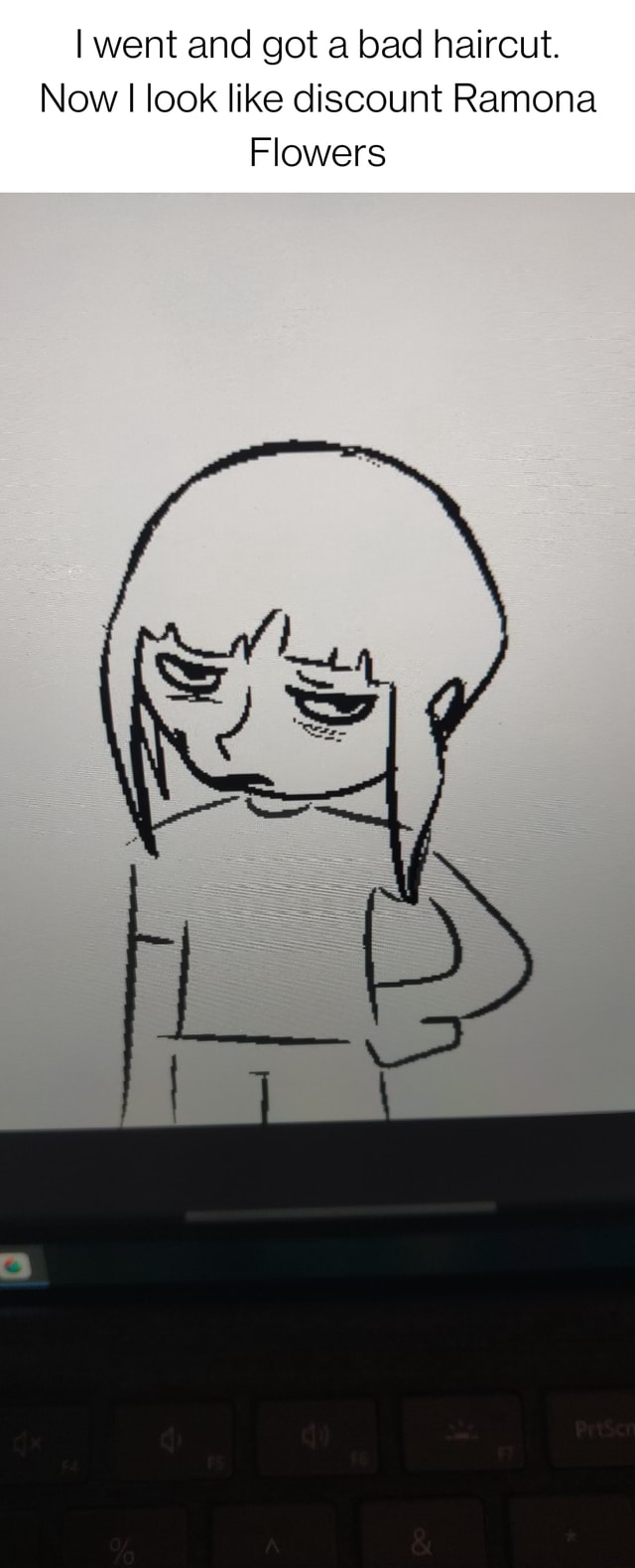 I went and got a bad haircut. Now I look like discount Ramona Flowers - )