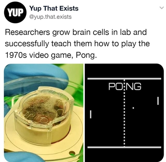 yup-that-exists-researchers-grow-brain-cells-in-lab-and-successfully