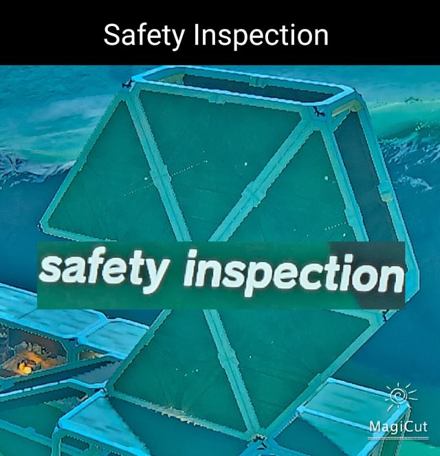 Safety Inspection MagiC at - iFunny