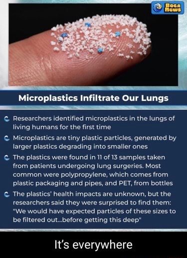 Microplastics Infiltrate Our Lungs Researchers Identified Microplastics ...