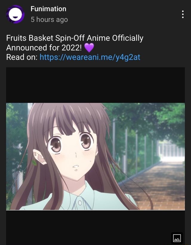 Funimation 5 hours ago Fruits Basket SpinOff Anime Officially Announced for 2022! Read on iFunny